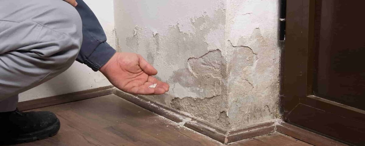Dégâts d'humidité à la base d'un mur avec remontées capillaires visibles