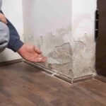 Dégâts d'humidité à la base d'un mur avec remontées capillaires visibles