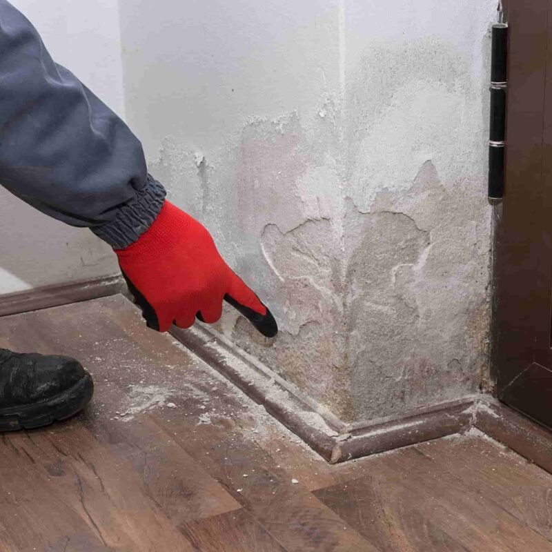 Inspection détaillée de la plinthe d'un mur endommagé par l'humidité