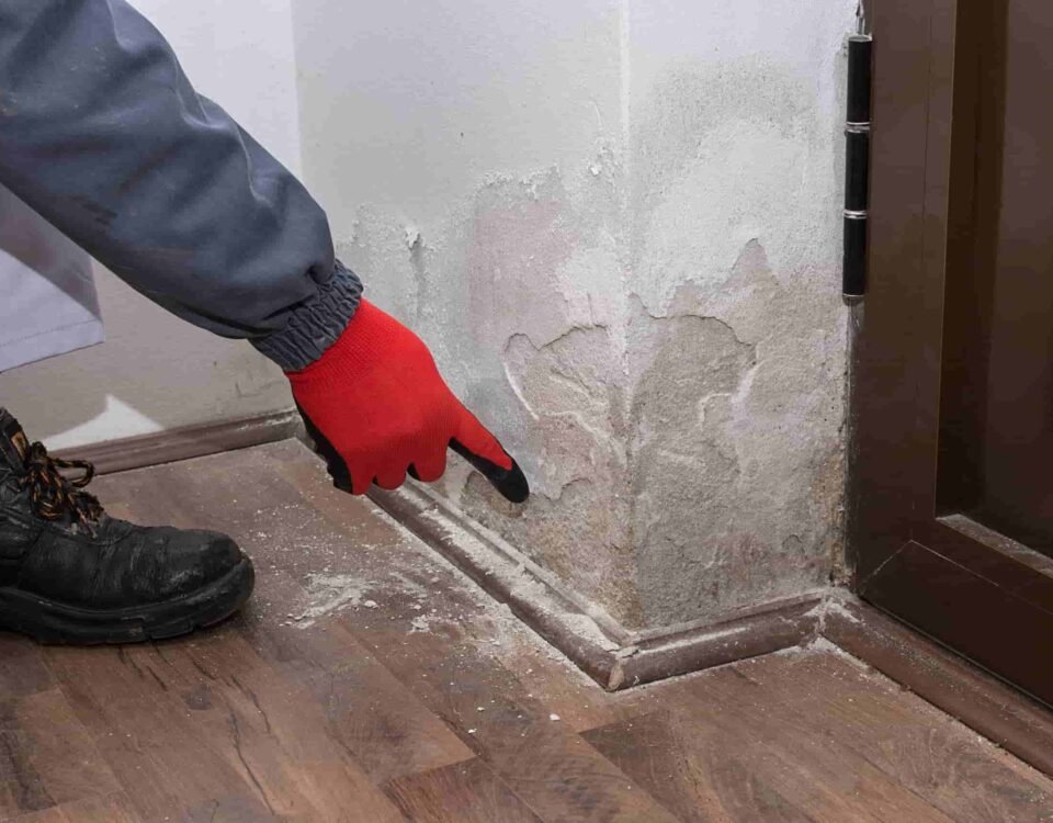 Inspection détaillée de la plinthe d'un mur endommagé par l'humidité