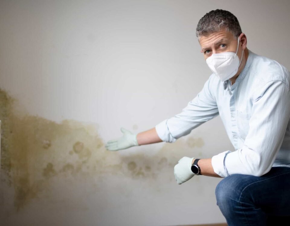 Expert montrant les dégâts d'humidité et de moisissures sur un mur intérieur
