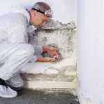 Diagnostika vlhkosti u paty zdi