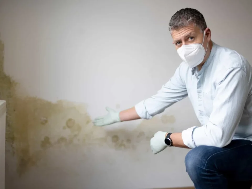 Professionista che esamina un muro umido
