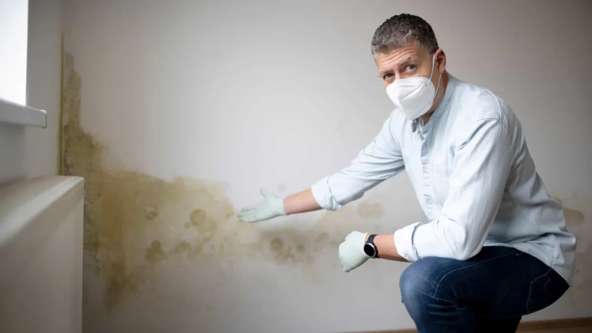 Profissional a examinar uma parede húmida