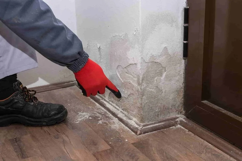 Untersuchung des unteren Bereichs einer feuchtigkeitsgeschädigten Wand